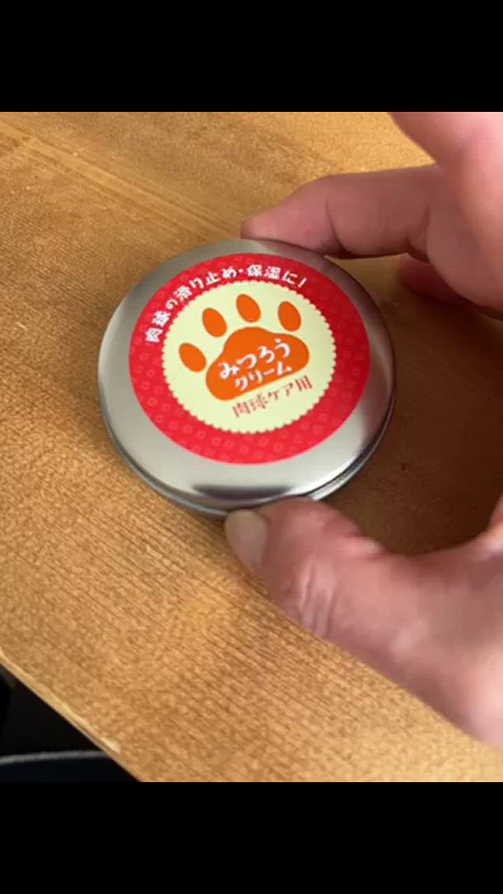 全体のレビュー動画のサムネイル | 3