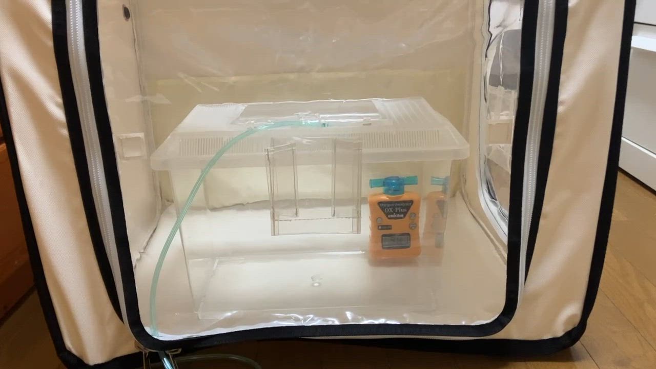 全体のレビュー動画のサムネイル | 0