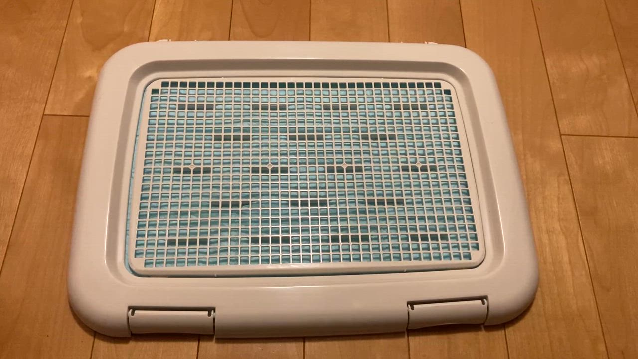 全体のレビュー動画のサムネイル | 1
