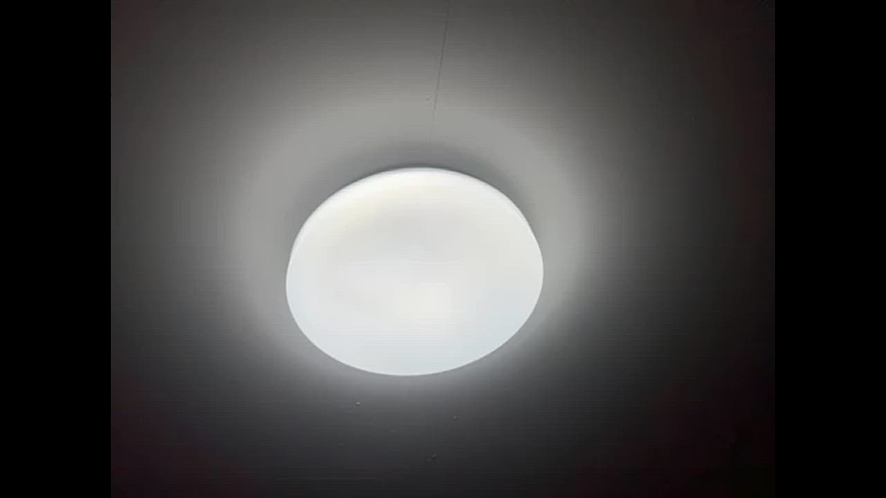 全体のレビュー動画のサムネイル | 13