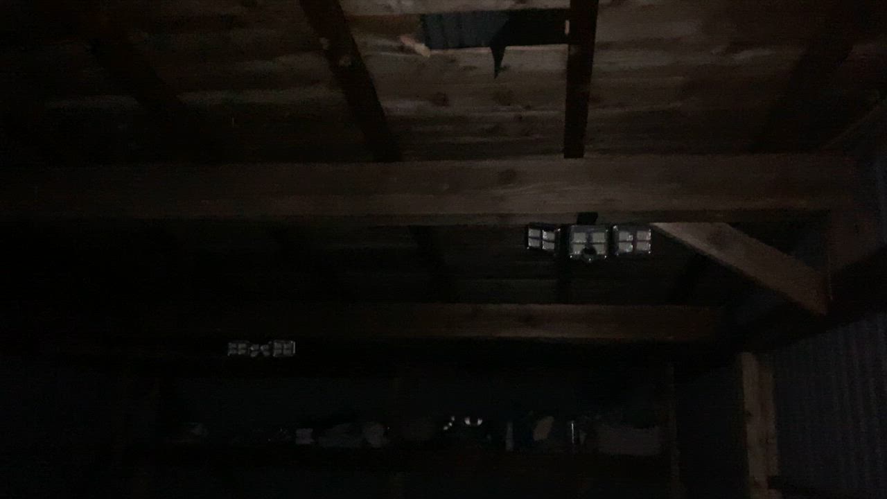 全体のレビュー動画のサムネイル | 2