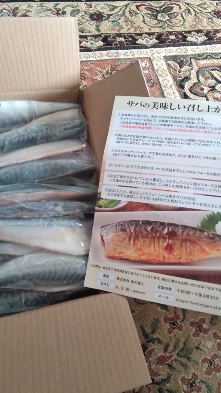 全体のレビュー動画のサムネイル | 18