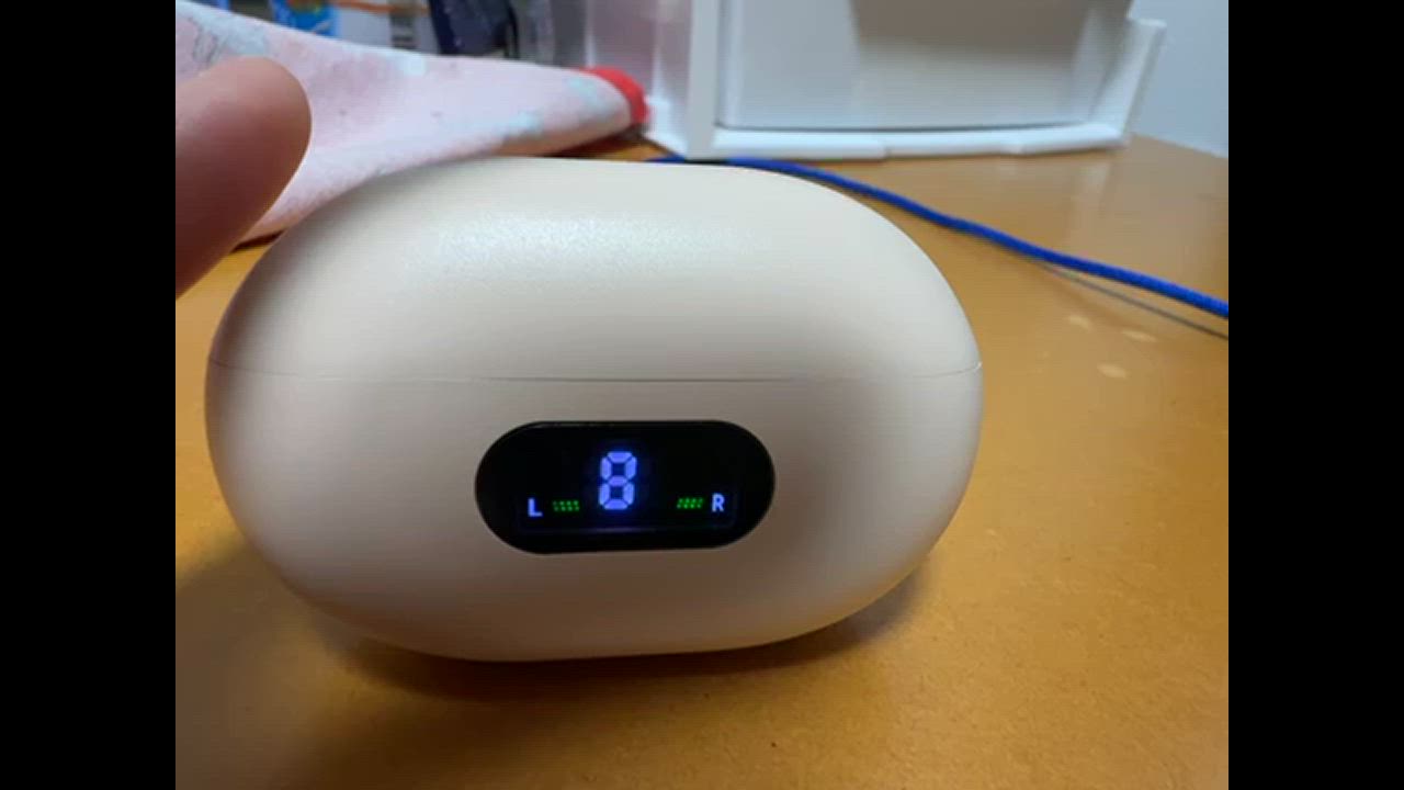 全体のレビュー動画のサムネイル | 1