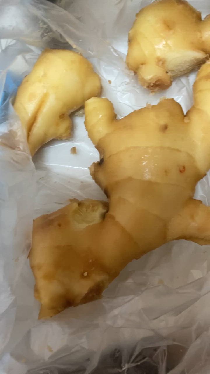 食用 中国産 黄金生姜 1kg(近江生姜 黄色) : 生姜工房 - 通販 食用 中国産 黄金生姜 1kg(近江生姜 黄色) : 生姜工房 - 通販