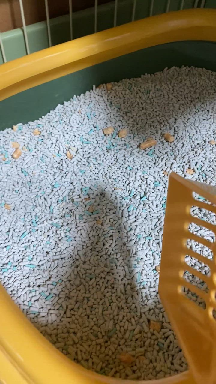 全体のレビュー動画のサムネイル | 6