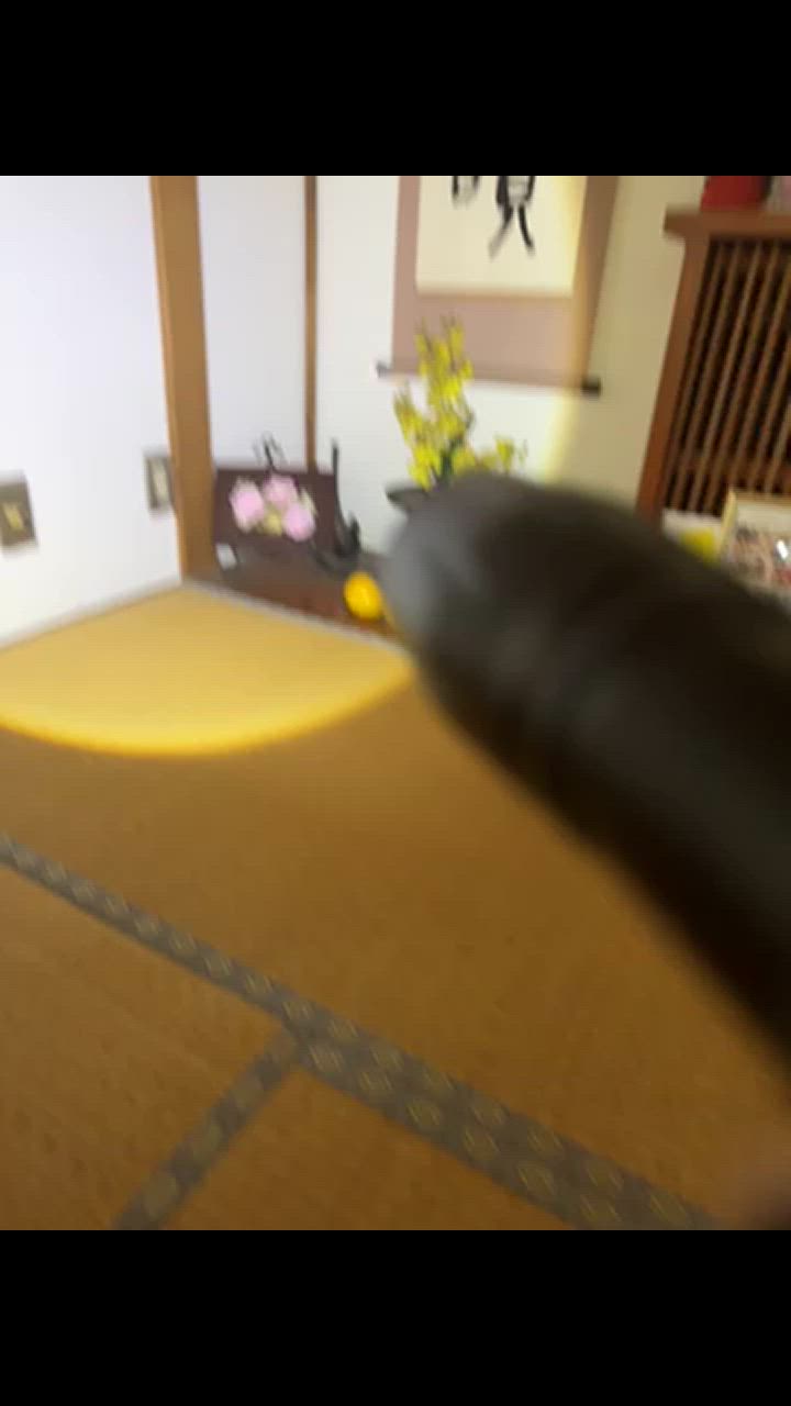 1件目のレビュー動画のサムネイル | 0