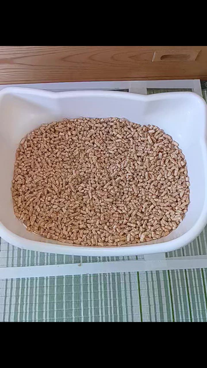 全体のレビュー動画のサムネイル | 12