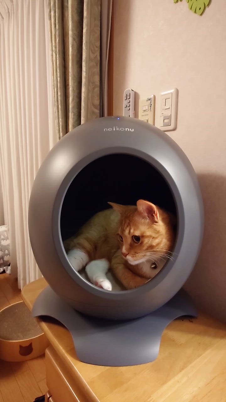 pet-pts0030c-2-sp.jpg
