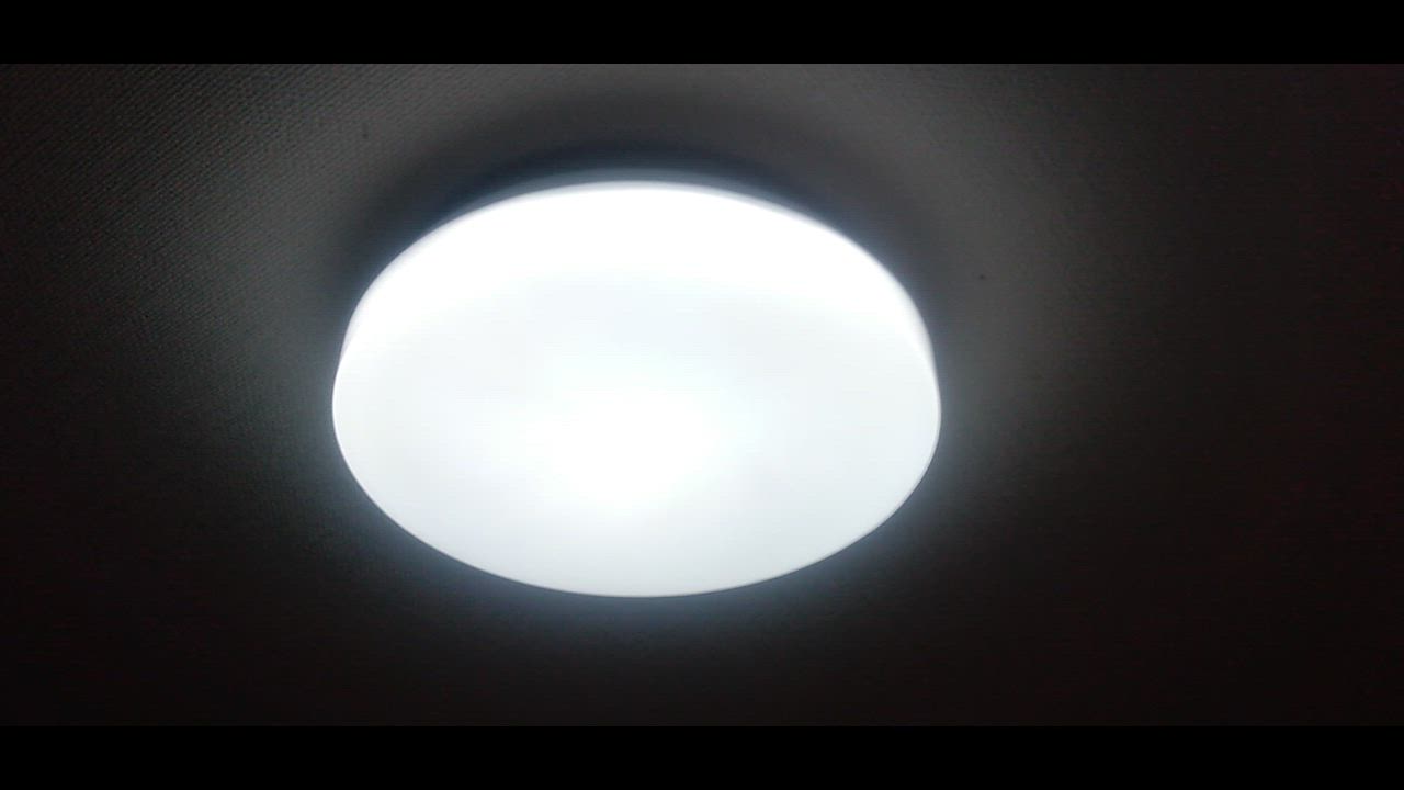 全体のレビュー動画のサムネイル | 10