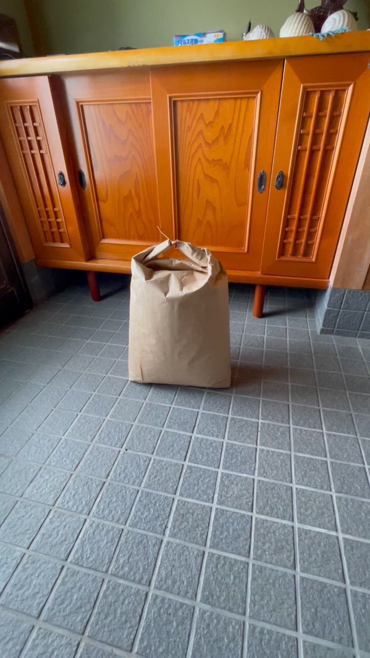 全体のレビュー動画のサムネイル | 11