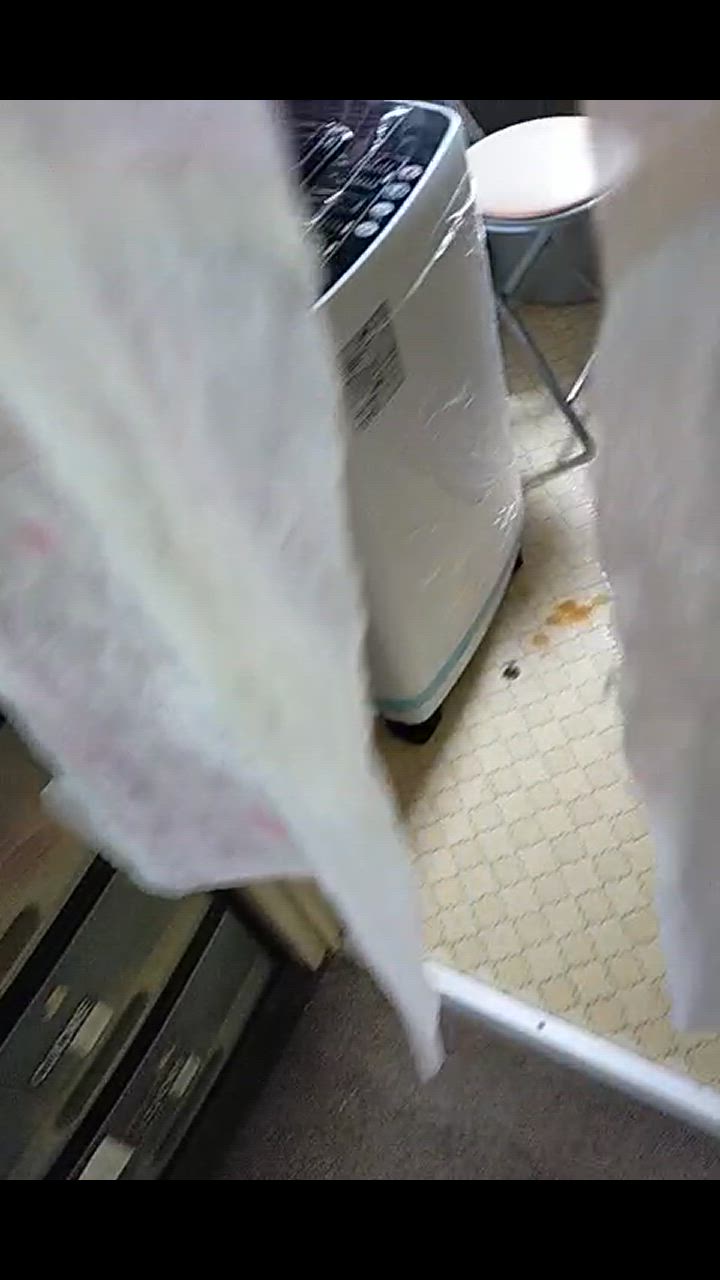 全体のレビュー動画のサムネイル | 1