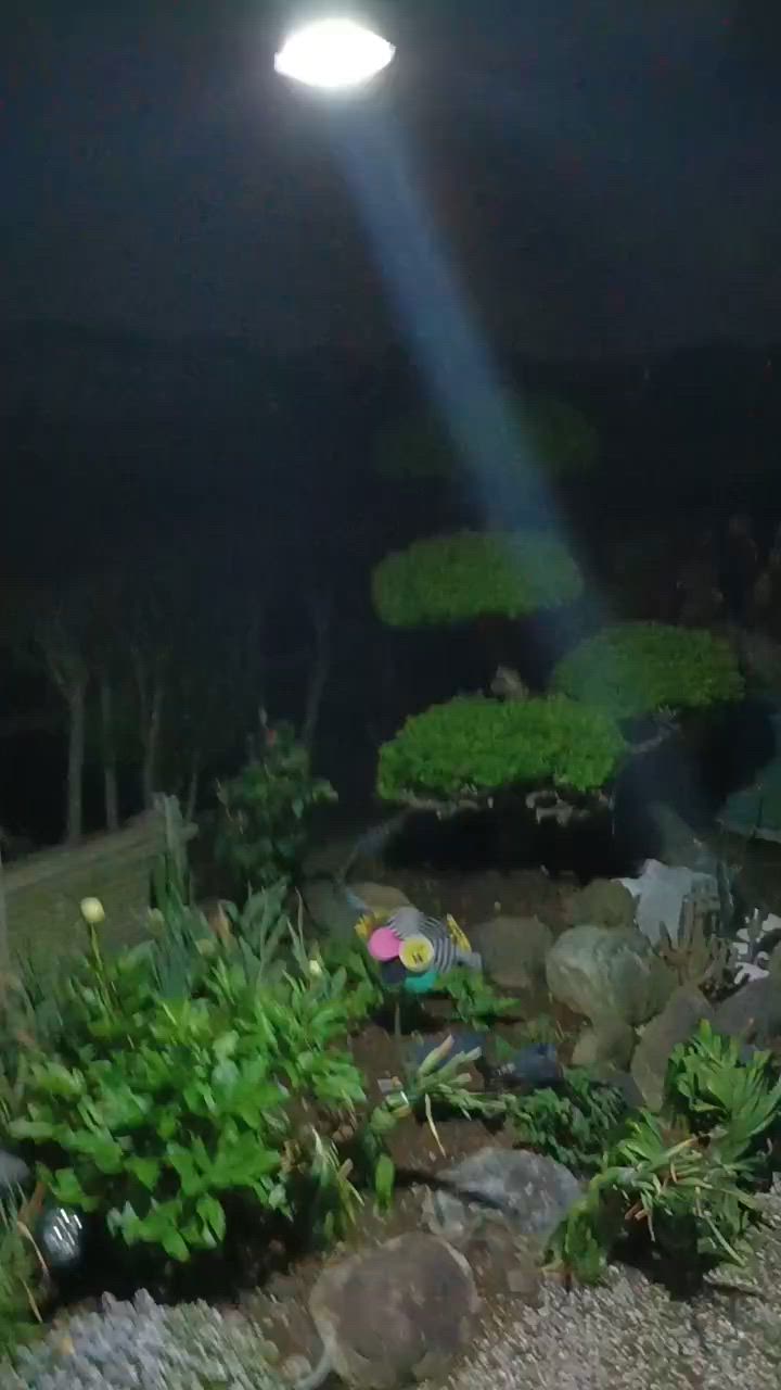 1件目のレビュー動画のサムネイル | 0