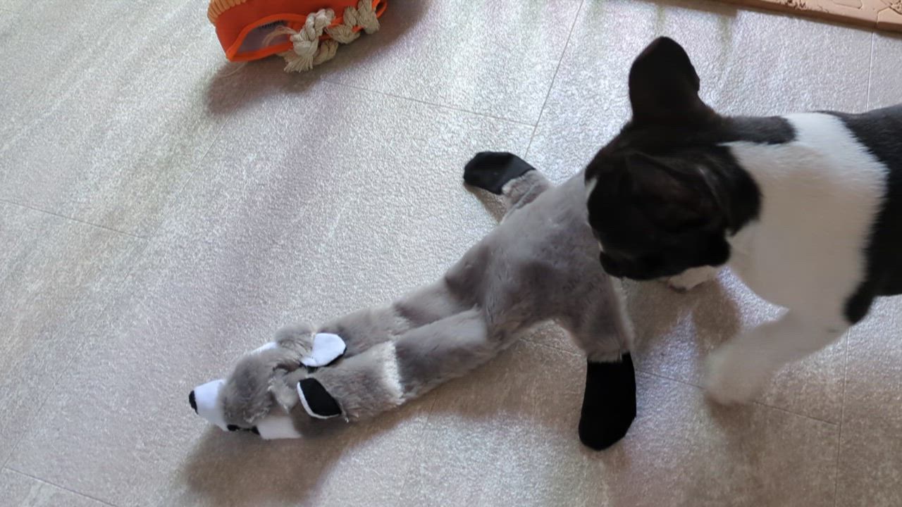 全体のレビュー動画のサムネイル | 0
