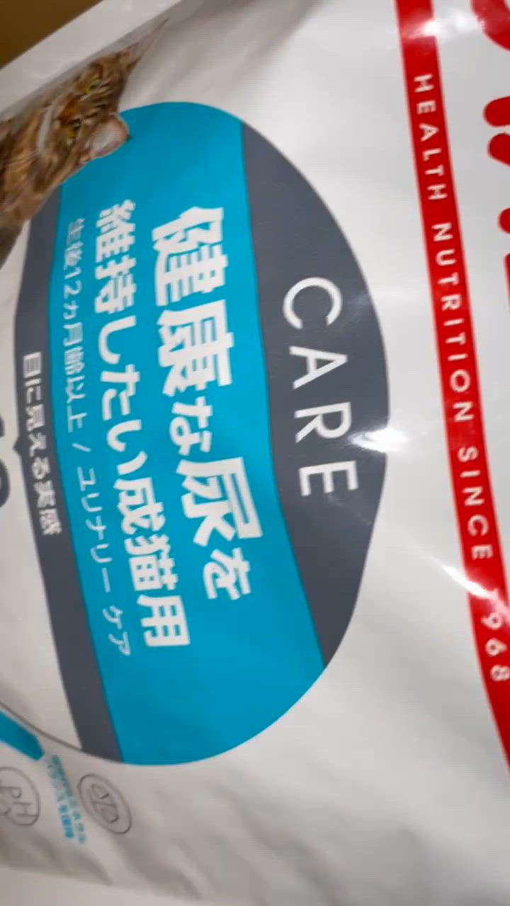 全体のレビュー動画のサムネイル | 7