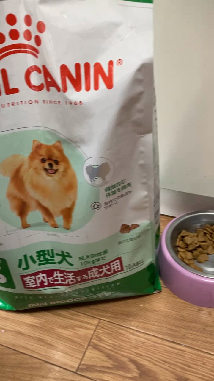 Amazon.co.jp: ロイヤルカナン ミニ インドア アダルト 10kg