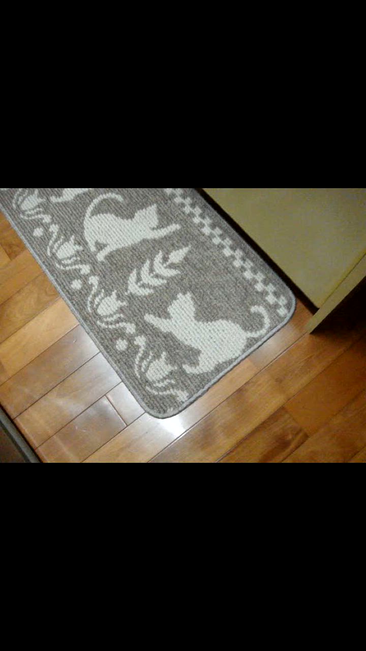 全体のレビュー動画のサムネイル | 0