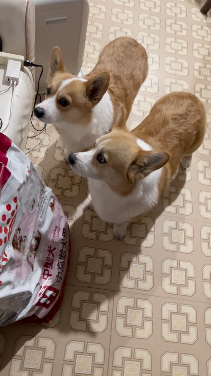 全体のレビュー動画のサムネイル | 0