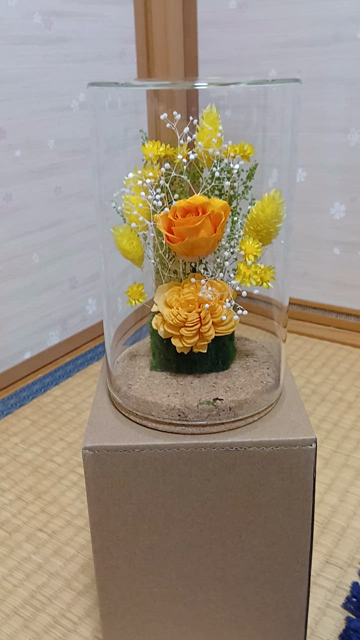 全体のレビュー動画のサムネイル | 0