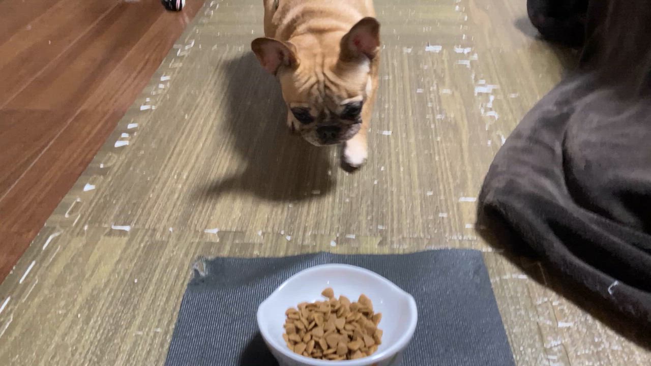 全体のレビュー動画のサムネイル | 2