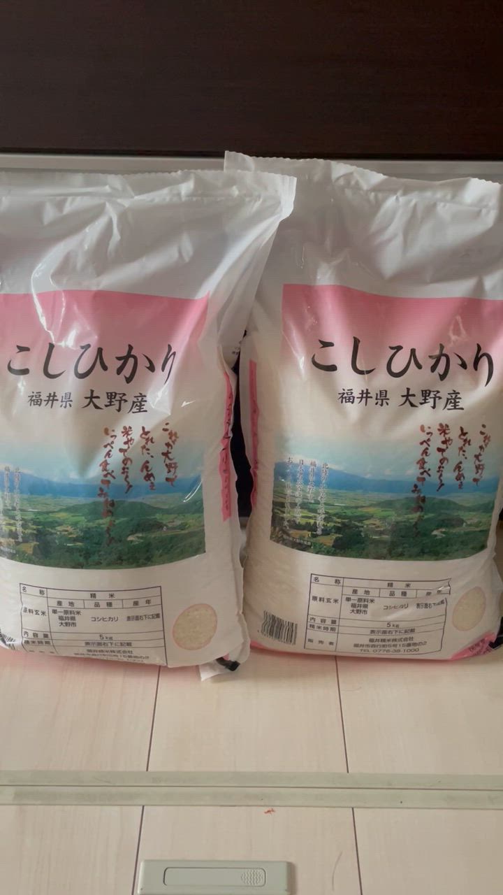 福井県産コシヒカリ10キロ コシヒカリ 米 10kg 5kg×2袋 福井県産 白米 令和6年産 送料無料