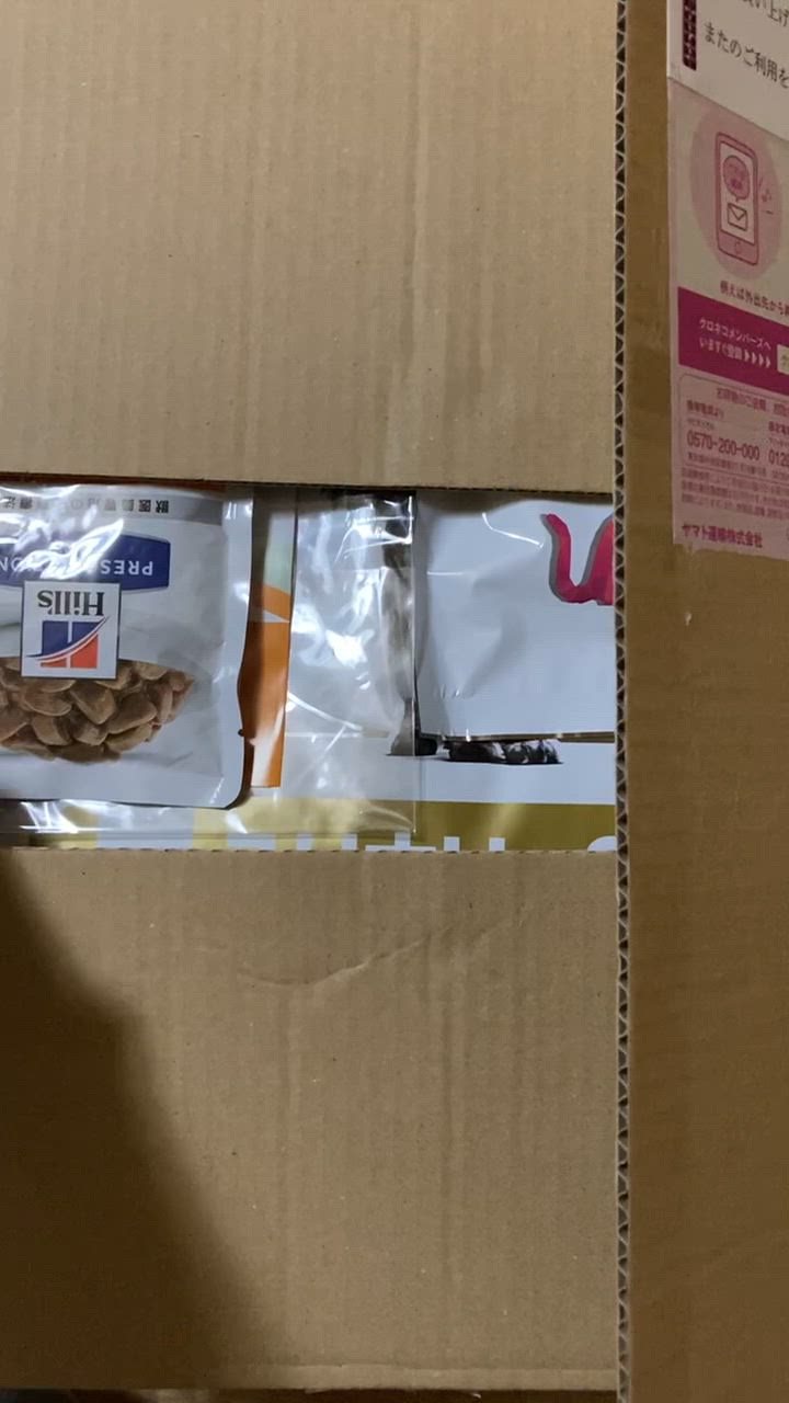 全体のレビュー動画のサムネイル | 0