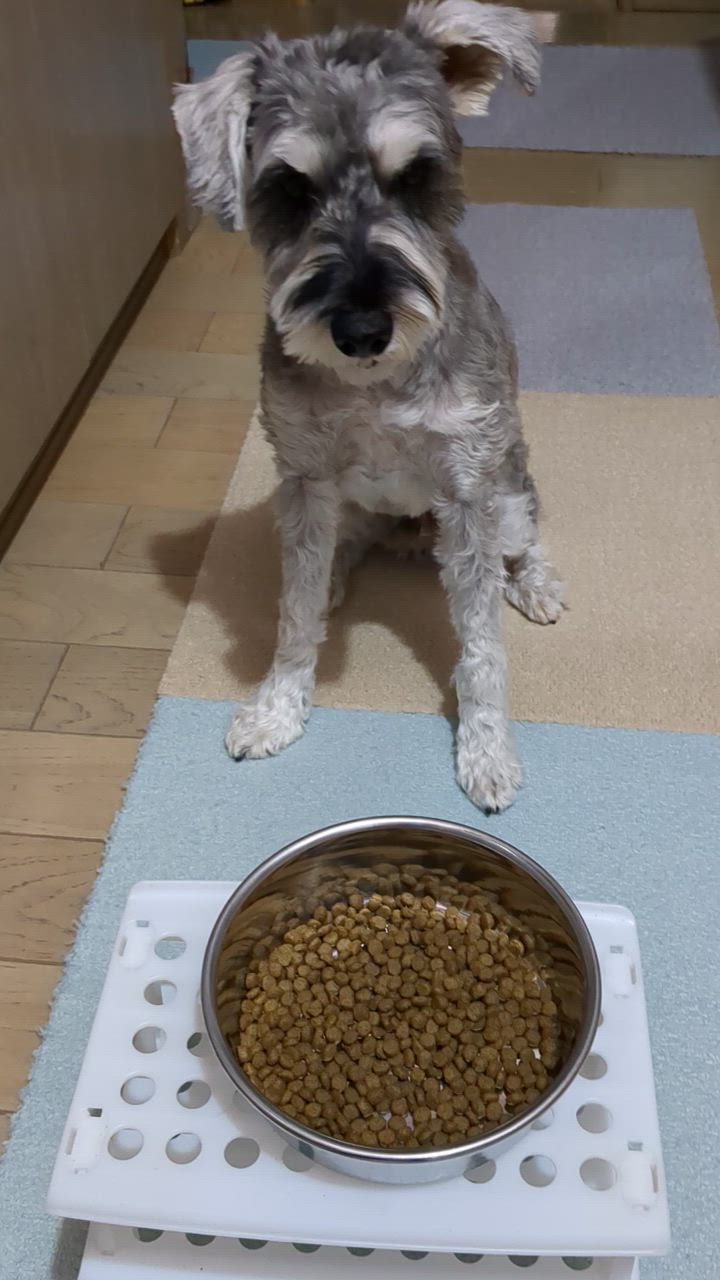 全体のレビュー動画のサムネイル | 2