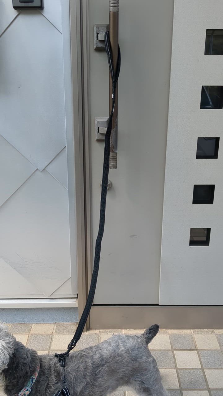 全体のレビュー動画のサムネイル | 3