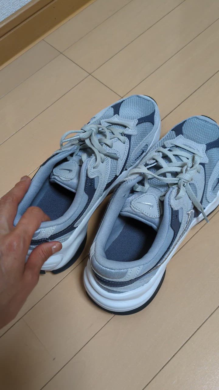 NIKE　ウィメンズ　アレイト003WLFGRY/M SIL NIKE スニーカー ナイキ W AL8 ウィメンズ アレイト WFJ3794