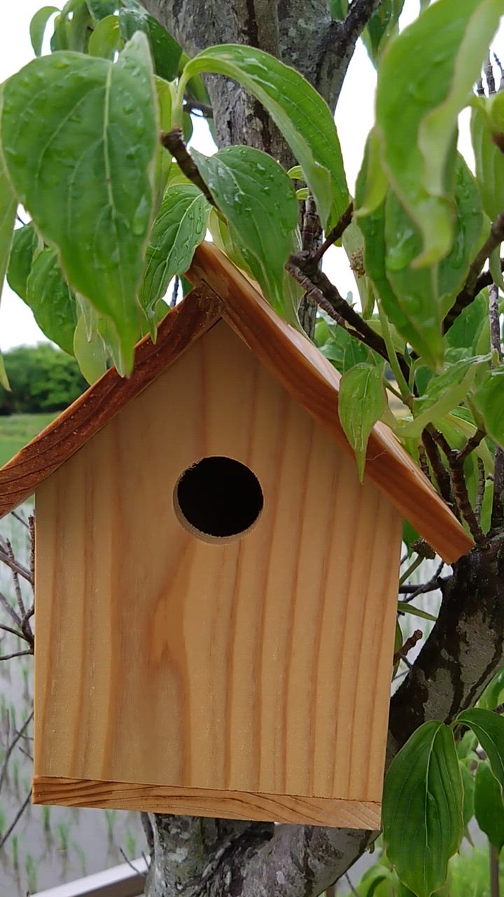 高級　手作り鳥箱 DIY 手作り] 日本の鳥居貯金箱ギフトボックス木製貯金箱鳥居