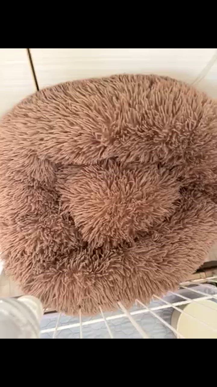 全体のレビュー動画のサムネイル | 0