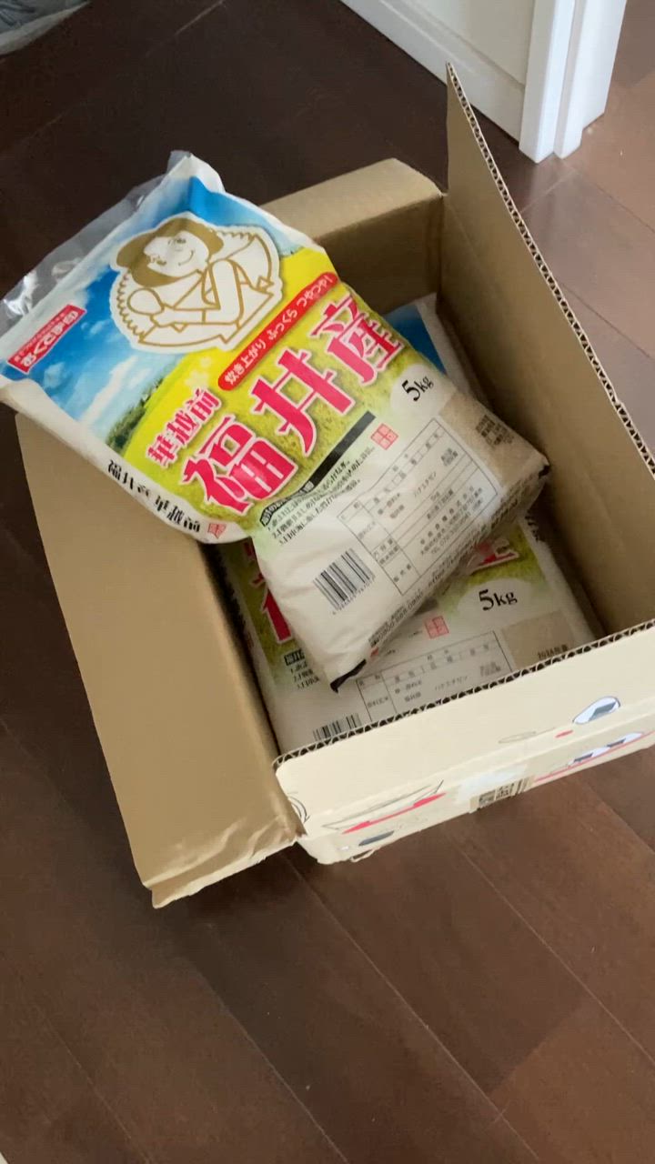 おくさま印 米 お米 米10kg 白米 送料無料 華越前 ハナエチゼン