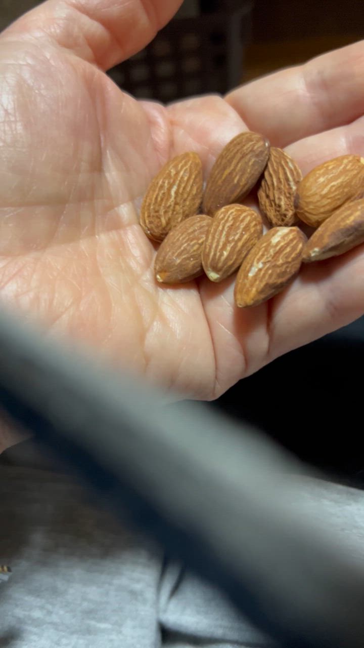 全体のレビュー動画のサムネイル | 19