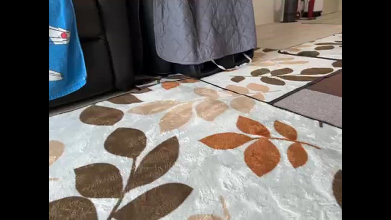 全体のレビュー動画のサムネイル | 1
