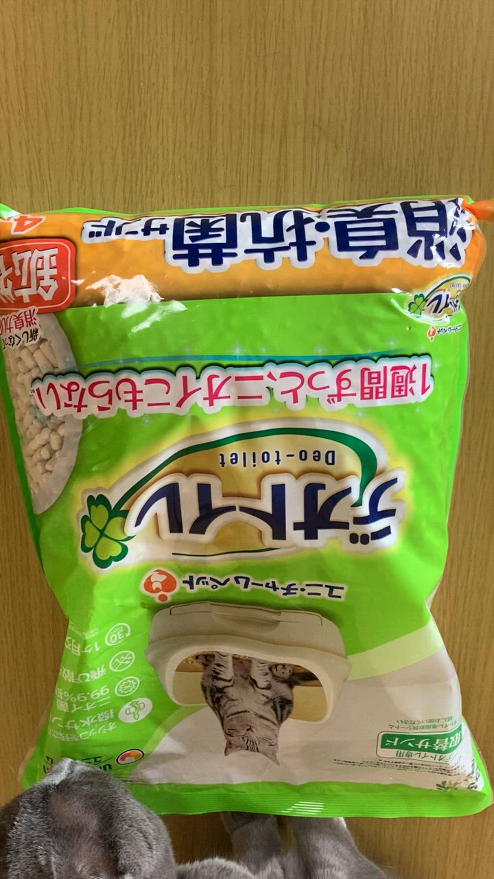 全体のレビュー動画のサムネイル | 3