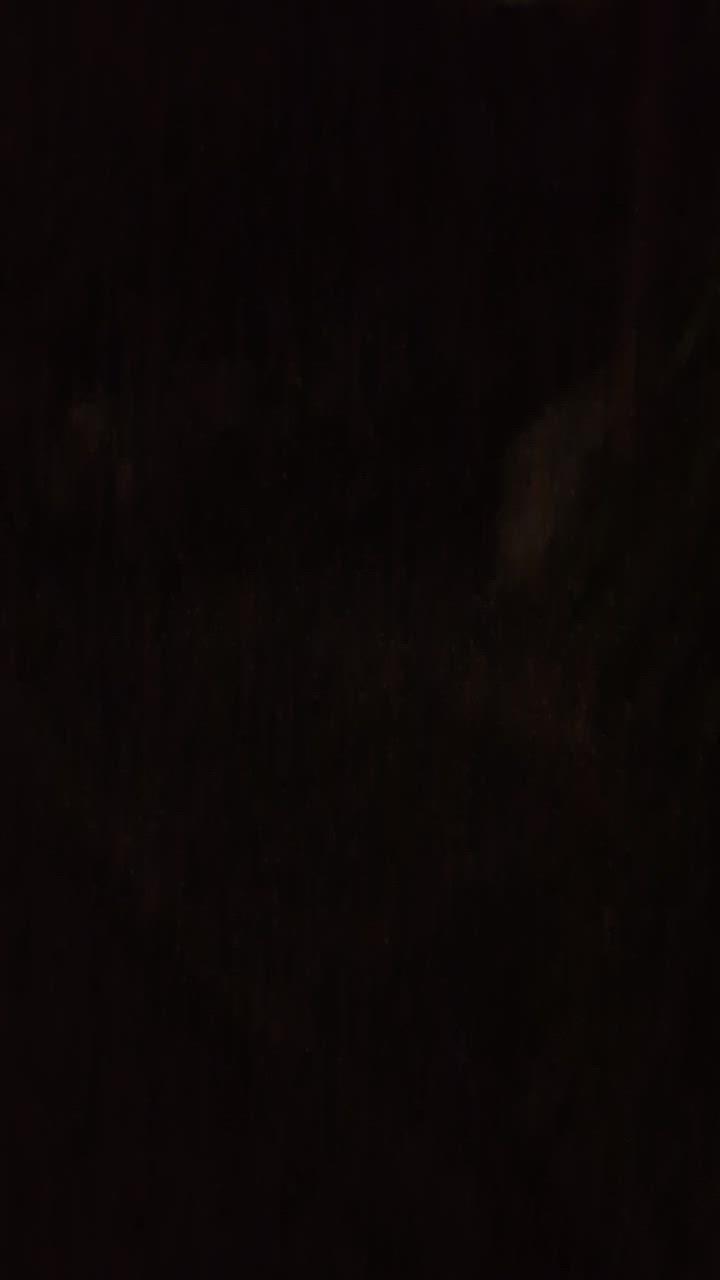 全体のレビュー動画のサムネイル | 1