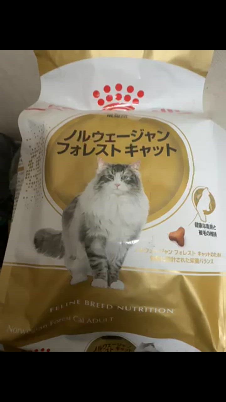 全体のレビュー動画のサムネイル | 0