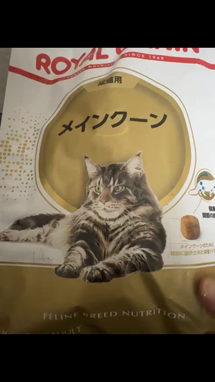 ロイヤルカナン □6/25クーポン有□ロイヤルカナン メインクーン