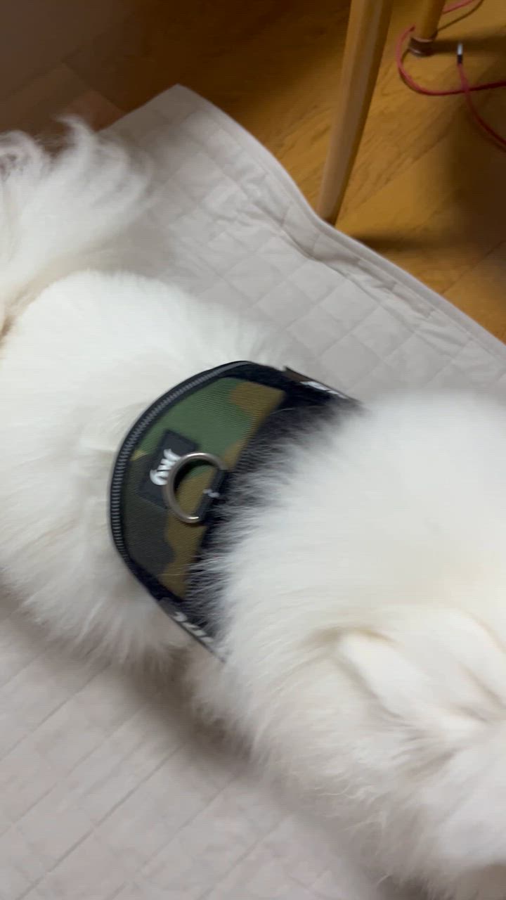 全体のレビュー動画のサムネイル | 0