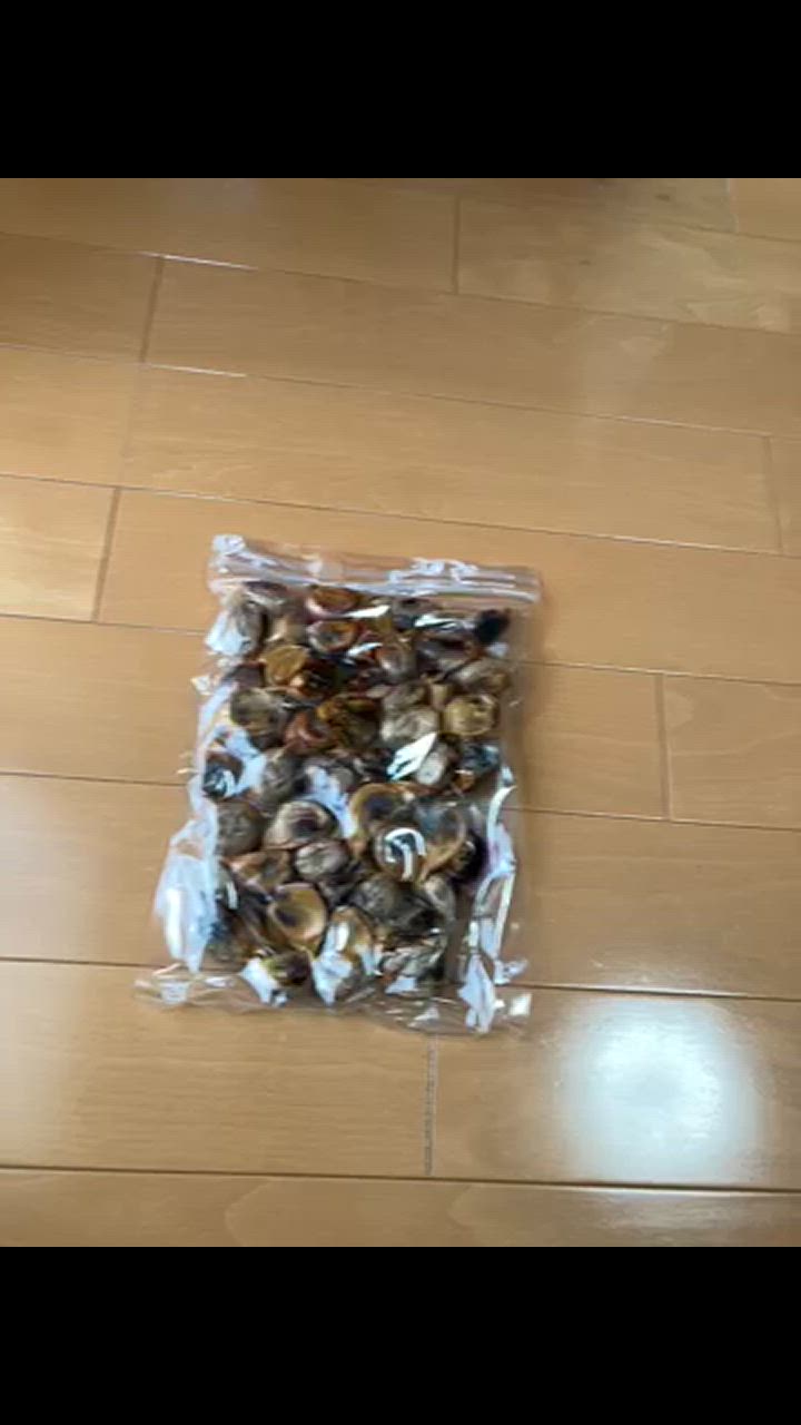 全体のレビュー動画のサムネイル | 19