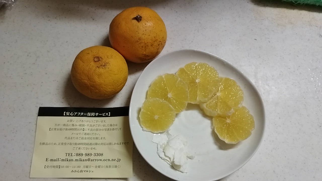 人気の小玉 河内晩柑・10kgTVで話題の食べる天然ジュース 河内