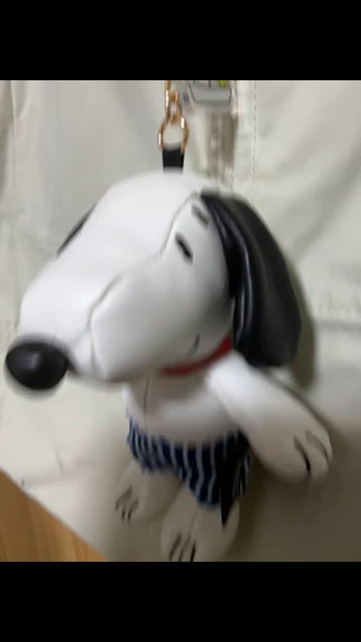 1件目のレビュー動画のサムネイル | 0