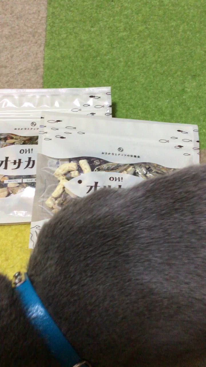 全体のレビュー動画のサムネイル | 0