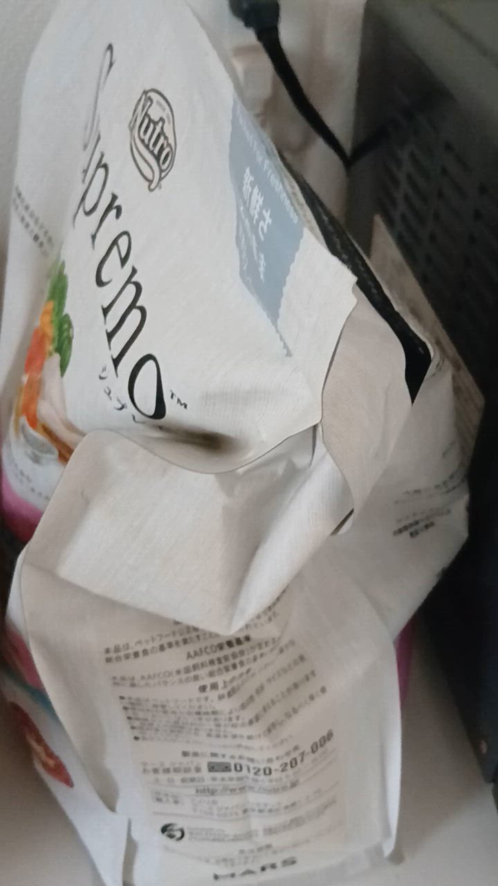 全体のレビュー動画のサムネイル | 6