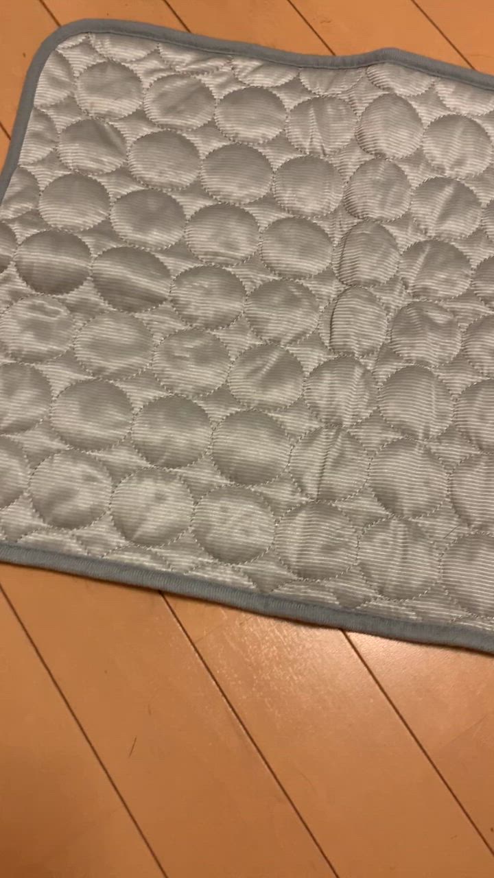 全体のレビュー動画のサムネイル | 1