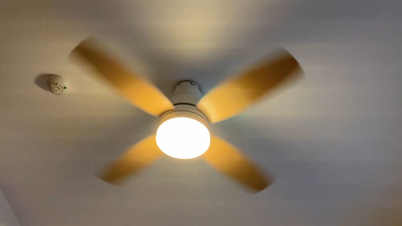 全体のレビュー動画のサムネイル | 2