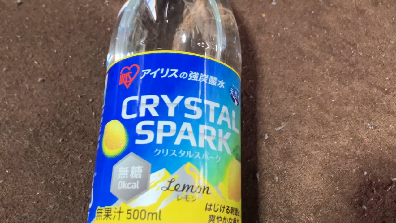 全体のレビュー動画のサムネイル | 17