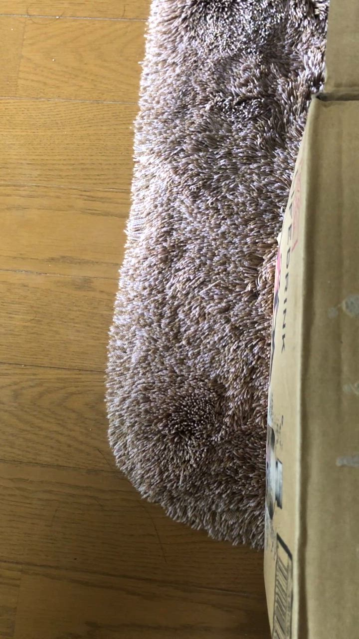 全体のレビュー動画のサムネイル | 7