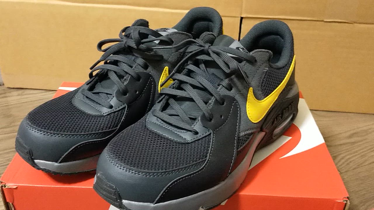 NIKE ナイキ エア マックス エクシー FZ5486-002 メンズ
