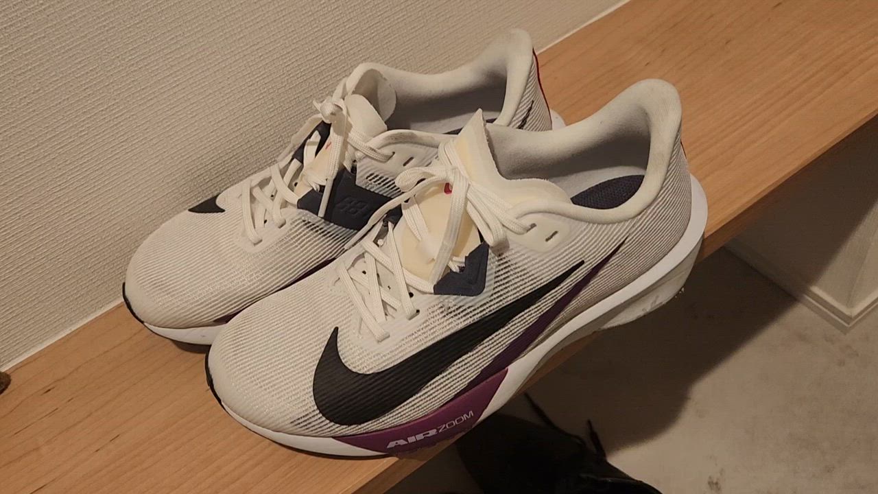 NIKE ナイキ ライバル フライ 4 ランニングシューズ ランシュー