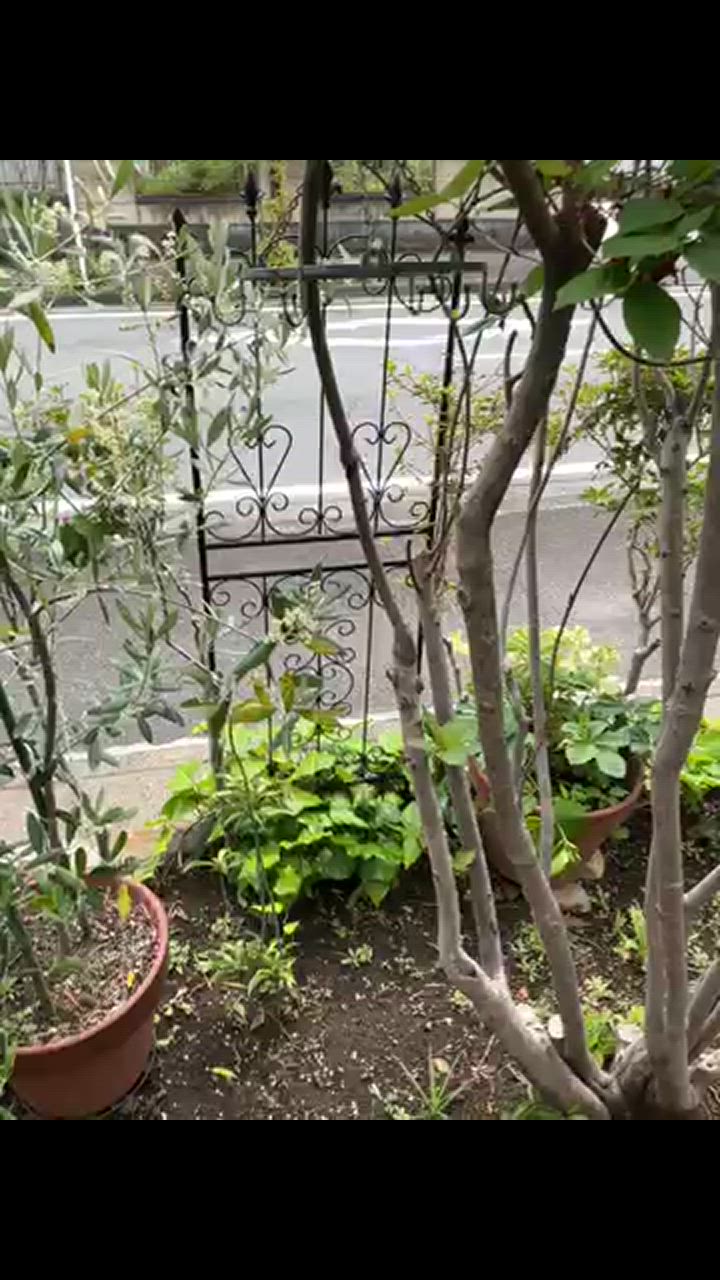 2件目のレビュー動画のサムネイル | 0